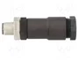 LAPP Conector M12 Macho 4 Pines Recto IP67 12A