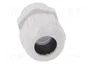 LAPP Sello aislante SKINTOP® PG16 gris claro