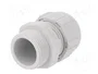 LAPP Sello aislante SKINTOP® PG16 gris claro
