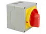 LOVATO ELECTRIC Interruptor de leva 32A 3 polos 0-1