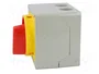 LOVATO ELECTRIC Interruptor de leva 32A 3 polos 0-1