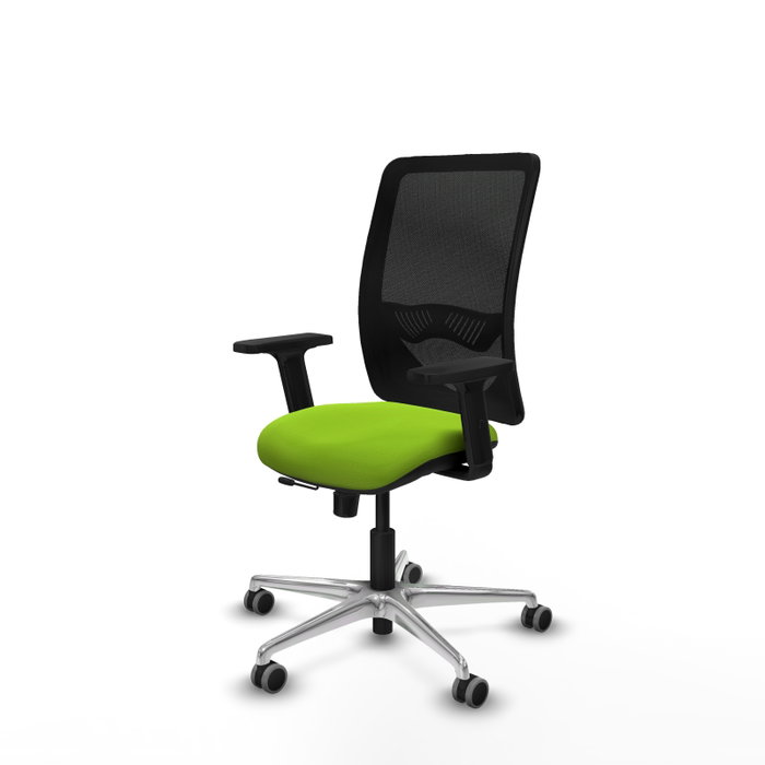 PIQUERAS Y CRESPO Silla de oficina Zulema con mecanismo Sincro/Traslack, Pistacho y Negro PIQUERAS Y CRESPO Silla de oficina Zulema con mecanismo Sincro/Traslack, Pistacho y Negro