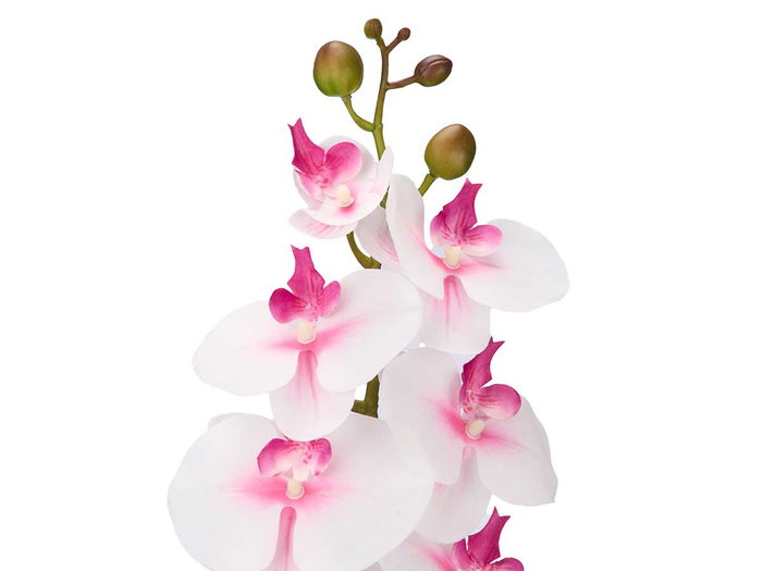Ibergarden Rama Orquidea 60 Cm Surtidos Plastico Cemento Blanco Rosa Verde 10x8x60 (Set de 48)