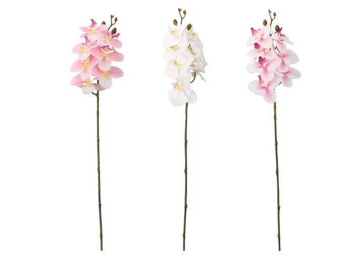 Ibergarden Rama Orquidea 60 Cm Surtidos Plastico Cemento Blanco Rosa Verde 10x8x60 (Set de 48)