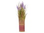 Ibergarden Ramillete Lavanda Morado Plástico y Cuerda 20 cm x 48 cm x 20 cm con Maceta 9 cm (Set de 6)