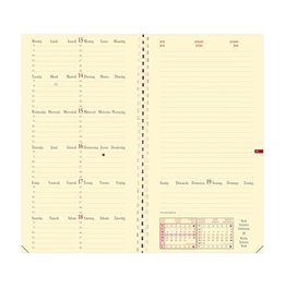 QUO VADIS Recambio Agenda Anual Italnote S ML 2026 88x170 mm