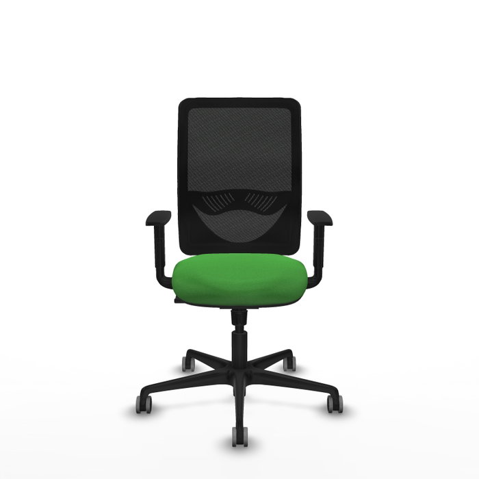 PIQUERAS Y CRESPO Silla de oficina Zulema con mecanismo Sincro, Verde y Negro PIQUERAS Y CRESPO Silla de oficina Zulema con mecanismo Sincro, Verde y Negro