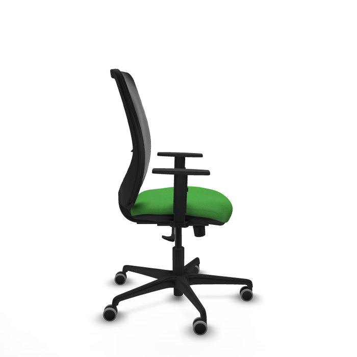 PIQUERAS Y CRESPO Silla de oficina Zulema con mecanismo Sincro, Verde y Negro PIQUERAS Y CRESPO Silla de oficina Zulema con mecanismo Sincro, Verde y Negro