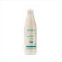 Salerm 21 Silk Protein Leave-in Conditioner 250 ml (Reacondicionado) incursivo