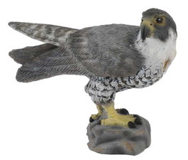 COLLECTA Halcón Peregrino Escala S