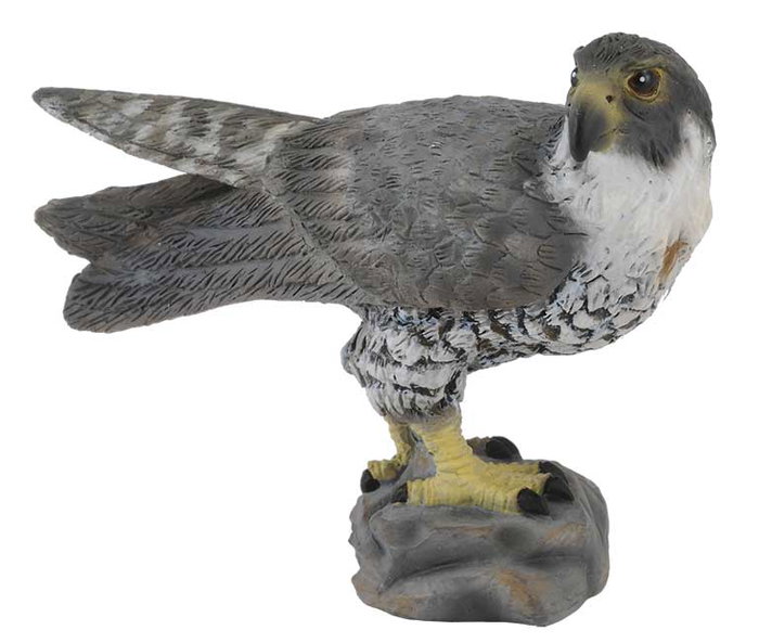 COLLECTA Halcón Peregrino Escala S COLLECTA Halcón Peregrino Escala S