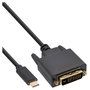 InLine Cable Adaptador USB Tipo C a DVI-D 2m Negro