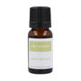 Terpenic Aceite Esencial de Cálamo 10 ml