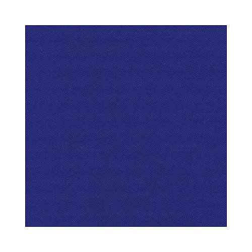 PAPSTAR Servilletas de 40,0 x 40,0 cm