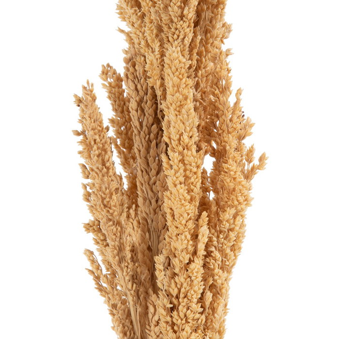 Rama Crema Fibra Natural Decoración 7 X 7 X 190 cm (Set de 2)