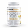 PRISMA NATURAL COLAGEN PLUS FLEXIPLUS 300 gr