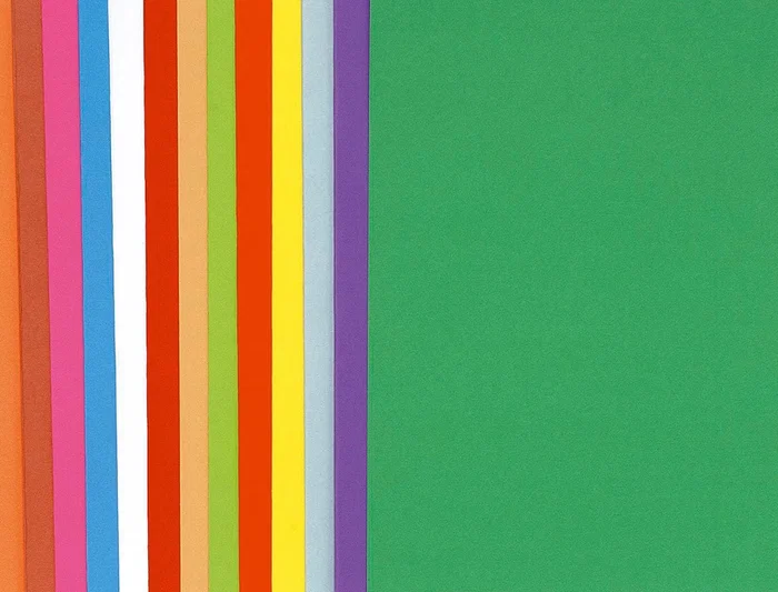 Exacompta Subcarpeta de Papel DIN A4, Colores Surtidos, 80 g/m², Certificado PEFC