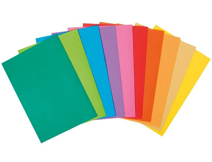 Exacompta Subcarpeta de Papel DIN A4, Colores Surtidos, 80 g/m², Certificado PEFC
