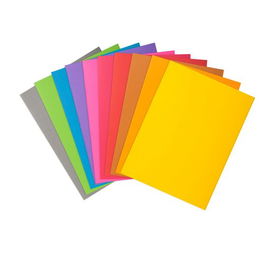 Exacompta Subcarpeta de Papel DIN A4, Colores Surtidos, 80 g/m², Certificado PEFC