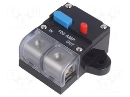 4CARMEDIA Fusible Automático de Coche 100A Retardado
