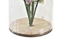 DKD Home Decor Decoración Flor Seca Cristal 8x8x13 Surtido de 2