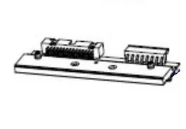 Zebra P1083347-005 Cabeza de impresora Transferencia térmica 203 x 203 DPI