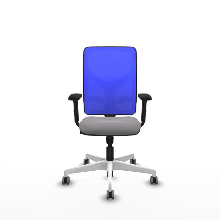 PIQUERAS Y CRESPO Silla de oficina Motilla Gris y Azul PIQUERAS Y CRESPO Silla de oficina Motilla Gris y Azul