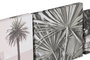 DKD Home Decor Set de 5 Cuadros sobre Lienzo MDF 25x2,5x25 cm Surtido de 2