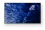 Sony BRAVIA FW-98BZ53L Monitor Profesional 98 pulg 4K HDR Full Array LED