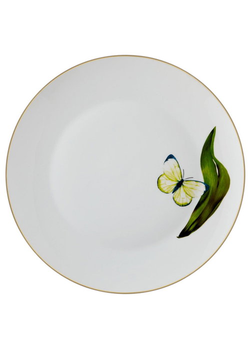 Hermia DNR0064 Juego de Platos de Servicio de Porcelana para Mesa, 27x27cm, Set de 6 Piezas Hermia DNR0064 Juego de Platos de Servicio de Porcelana para Mesa, 27x27cm, Set de 6 Piezas