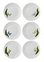 Hermia DNR0064 Juego de Platos de Servicio de Porcelana para Mesa, 27x27cm, Set de 6 Piezas