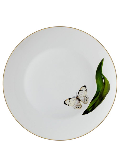 Hermia DNR0064 Juego de Platos de Servicio de Porcelana para Mesa, 27x27cm, Set de 6 Piezas Hermia DNR0064 Juego de Platos de Servicio de Porcelana para Mesa, 27x27cm, Set de 6 Piezas