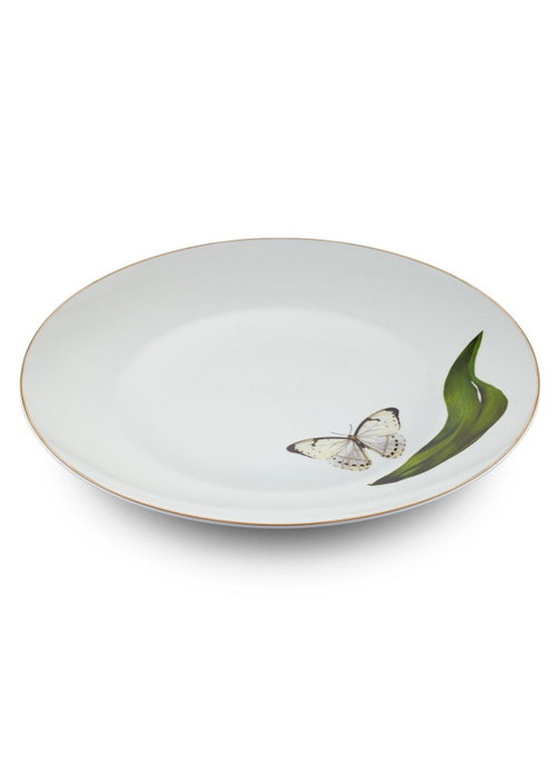 Hermia DNR0064 Juego de Platos de Servicio de Porcelana para Mesa, 27x27cm, Set de 6 Piezas Hermia DNR0064 Juego de Platos de Servicio de Porcelana para Mesa, 27x27cm, Set de 6 Piezas