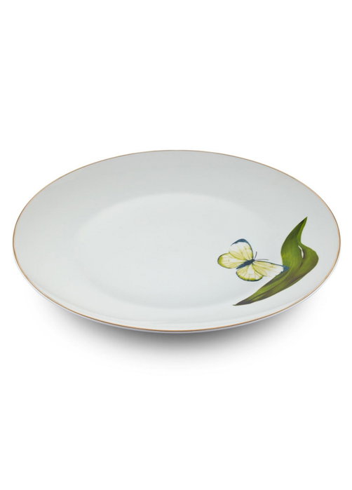 Hermia DNR0064 Juego de Platos de Servicio de Porcelana para Mesa, 27x27cm, Set de 6 Piezas Hermia DNR0064 Juego de Platos de Servicio de Porcelana para Mesa, 27x27cm, Set de 6 Piezas