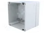 FIBOX EURONORD Carcasa Universal Gris