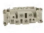 LAPP Conector HDC EPIC® K Hembra 6 PIN (4+2)