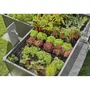 Gardena Kit de inicio para hileras de plantas hasta 35 plantas 13455-20