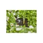 Gardena Kit de inicio para hileras de plantas hasta 35 plantas 13455-20