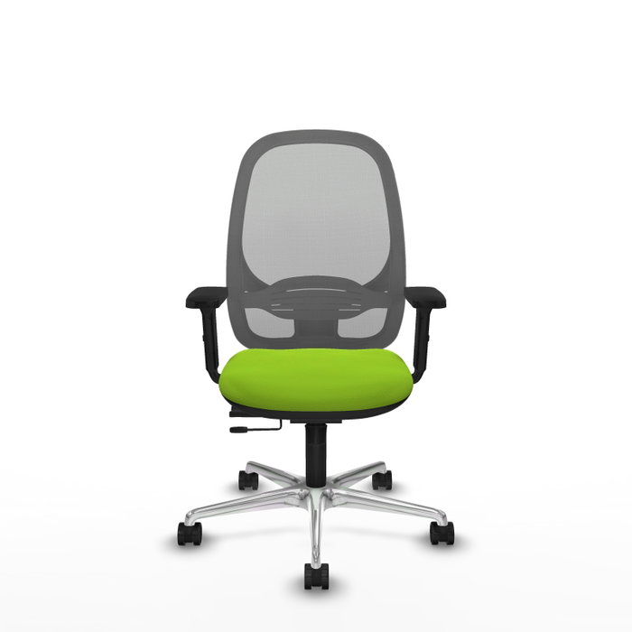 PIQUERAS Y CRESPO Silla de oficina Cilanco Pistacho y Gris PIQUERAS Y CRESPO Silla de oficina Cilanco Pistacho y Gris