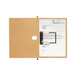 LEITZ Alpha Carpeta colgante A4 marrón