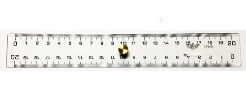 Reglas Doble Decimetro (Set de 10)