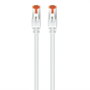 Ewent Cable de Red Cat6 S/FTP de 3m Gris