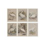 DKD Home Decor Cuadro Abeto Cristal 40x2,5x55cm Surtido de 6 unidades