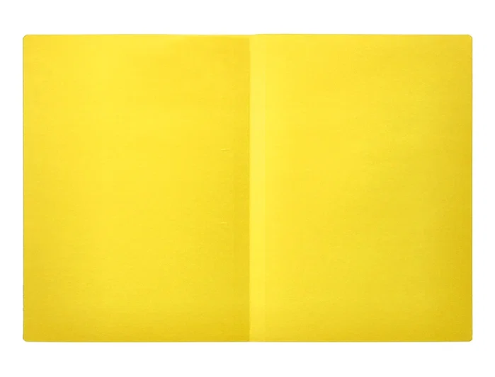 Liderpapel Subcarpeta Folio Amarillo Intenso 180g/m2