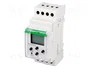 F&F Programador de tiempo SPDT 24÷264VAC 5 pines