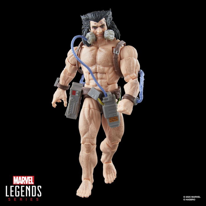 Hasbro Marvel Legends Wolverine (Weapon X) Figura de 15 cm