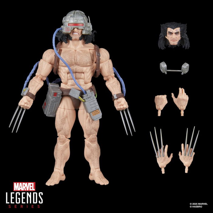 Hasbro Marvel Legends Wolverine (Weapon X) Figura de 15 cm