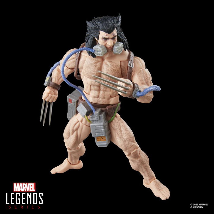Hasbro Marvel Legends Wolverine (Weapon X) Figura de 15 cm