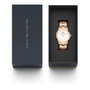 Daniel Wellington Iconic Link DW00600209 Dorado