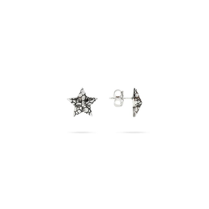 Pendientes Mujer Albert M. WSOX00510.S Plateado